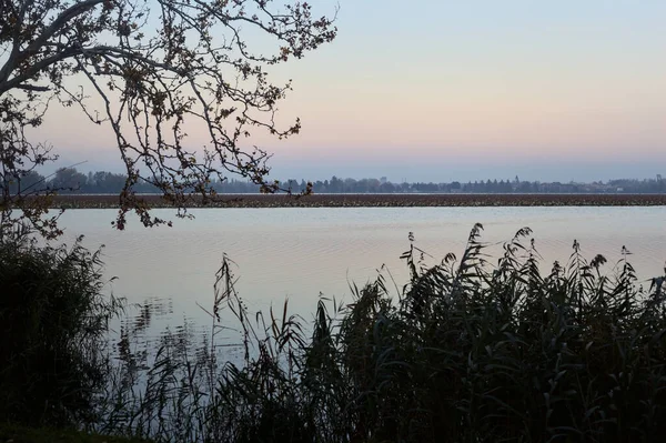 夕阳西下的河流 岸边伸展着树木和芦苇构成的地平线 — 图库照片