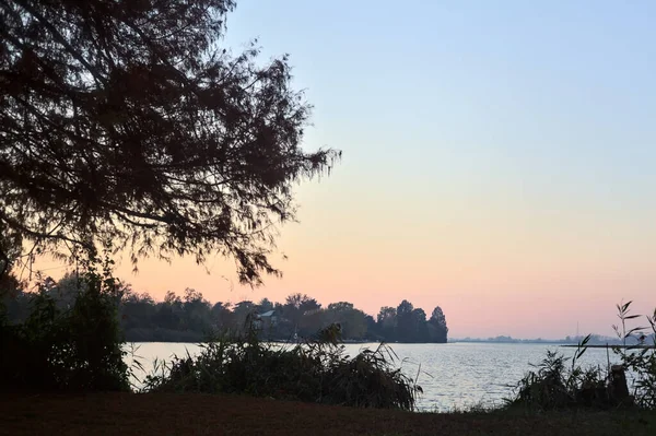 木々や葦に囲まれた水平線に広がる海岸と日没の川 — ストック写真