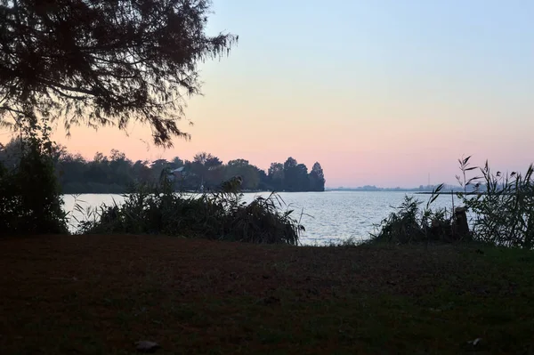 木々や葦に囲まれた水平線に広がる海岸と日没の川 — ストック写真