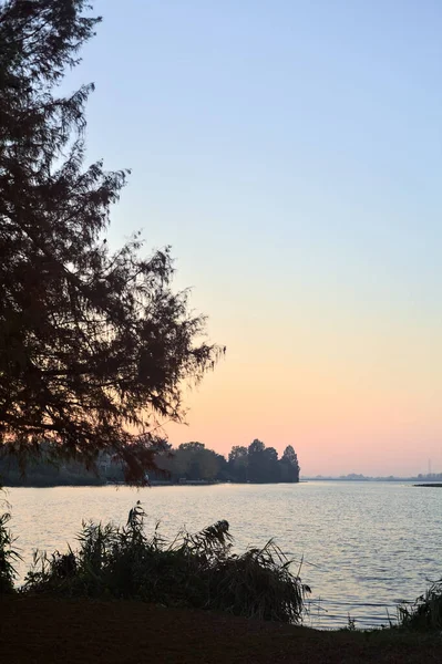 Stock image River at sunset with a shore that stretches on the horizon framed by a tree and reeds