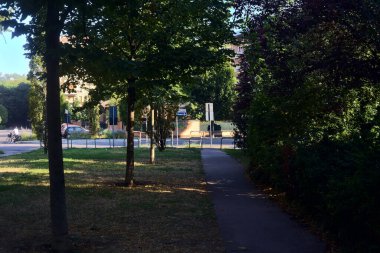 Parkta ağaçlarla çevrili bir patika.