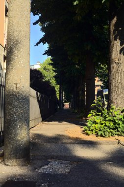 Bir yerleşim bölgesindeki çitlerin yanındaki ağaçlarla çevrili bir yer.