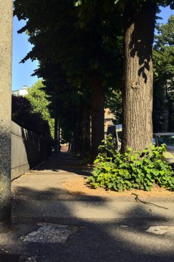 Bir yerleşim bölgesindeki çitlerin yanındaki ağaçlarla çevrili bir yer.