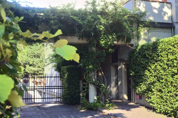 stock image Gate and door with plants surrounding them and the facade