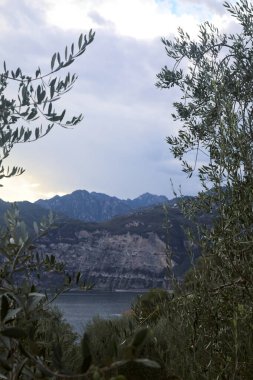 Alacakaranlıkta bir dağın yanında zeytin ağaçları çerçeveli bir göl.
