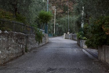 Yaz aylarında zeytin ağaçlarıyla çevrili yan yola tırmanmak