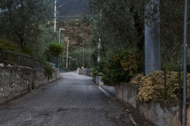 Yaz aylarında zeytin ağaçlarıyla çevrili yan yola tırmanmak