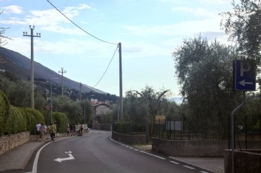 Yaz aylarında zeytin ağaçlarıyla çevrili yan yola tırmanmak