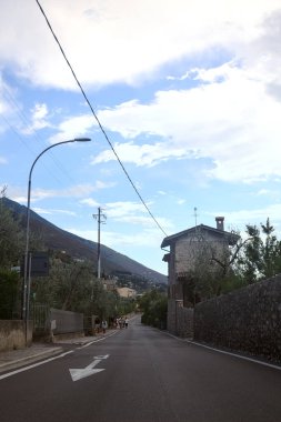 Yaz aylarında zeytin ağaçlarıyla çevrili yan yola tırmanmak