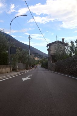 Yaz aylarında zeytin ağaçlarıyla çevrili yan yola tırmanmak