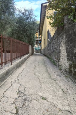 Yaz aylarında zeytin ağaçlarıyla çevrili yan yola tırmanmak