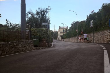 Yaz sonlarında zeytin ağaçlarıyla çevrili ana yol.