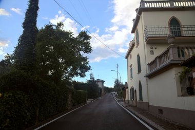 Yaz sonlarında zeytin ağaçlarıyla çevrili ana yol.