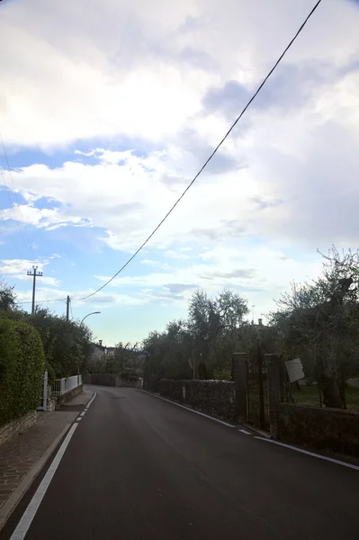 Climbing Side Road Bordered Olive Tree Plantations Summer — Stock Photo, Image