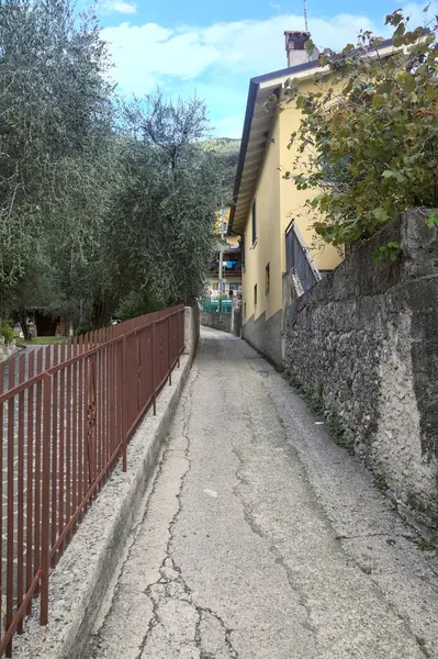 Strada Laterale Rampicante Delimitata Piantagioni Ulivi Estate — Foto Stock