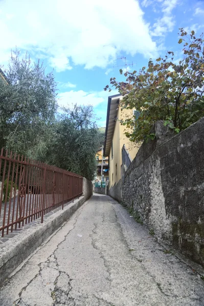 Strada Laterale Rampicante Delimitata Piantagioni Ulivi Estate — Foto Stock