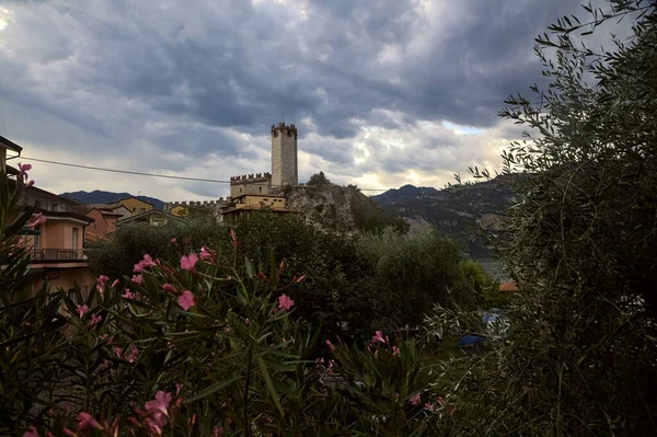 Πύργος Του Κάστρου Scaligero Malcesine Πλαισιώνεται Από Δέντρα Και Πικροδάφνες — Φωτογραφία Αρχείου