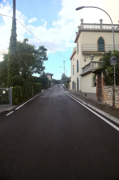 Strada Principale Delimitata Piantagioni Ulivi Fine Estate — Foto Stock