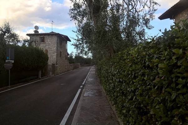 Strada Principale Delimitata Piantagioni Ulivi Fine Estate — Foto Stock