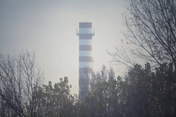 stock image Red and white chimney framed by trees on a misty day in autumn