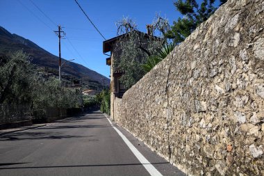 Yaz sonlarında zeytin ağaçlarıyla çevrili ana yol.