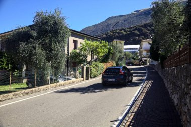 Yaz sonlarında zeytin ağaçlarıyla çevrili ana yol.