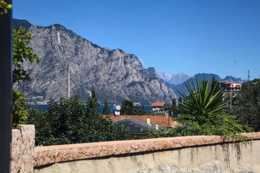 Ağaçlarla çevrili bir gölün yanındaki dağ sırtı ve çiçek açmış zakkum bitkileri.