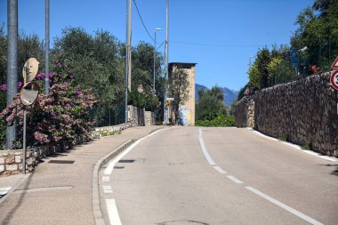 Yaz sonlarında zeytin ağaçlarıyla çevrili ana yol.