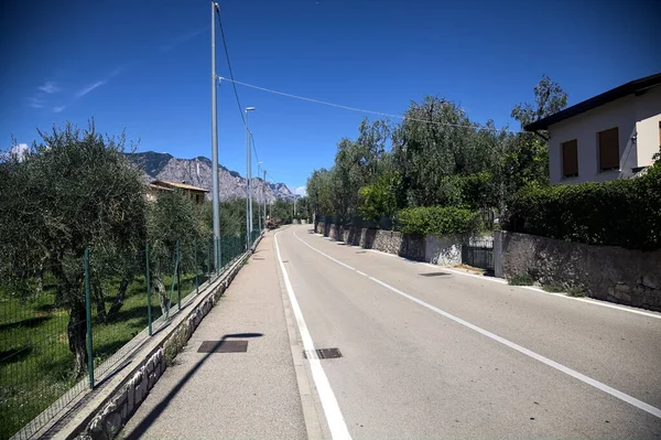 Yaz sonlarında zeytin ağaçlarıyla çevrili ana yol.