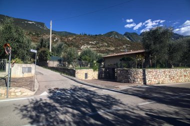 Yaz aylarında zeytin ağaçlarıyla çevrili yan yola tırmanmak