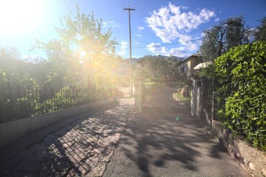 Yaz aylarında zeytin ağaçlarıyla çevrili yan yola tırmanmak