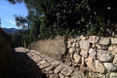 Güneşli bir günde, zeytin ağaçlarının arasında duvarlarla çevrili dar taşlı bir sokak.