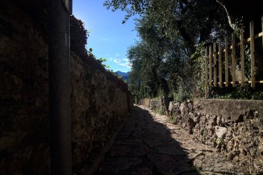 Güneşli bir günde, zeytin ağaçlarının arasında duvarlarla çevrili dar taşlı bir sokak.