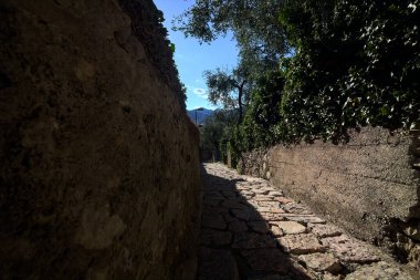 Güneşli bir günde, zeytin ağaçlarının arasında duvarlarla çevrili dar taşlı bir sokak.