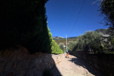 Yaz aylarında zeytin ağaçlarıyla çevrili yan yola tırmanmak