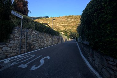 Yaz aylarında zeytin ağaçlarıyla çevrili yan yola tırmanmak