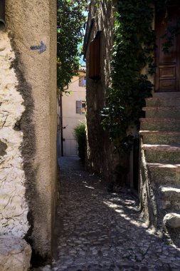 Kapı kapı dolaşıp onları çevreleyen bitkiler ve cephe