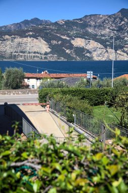Ağaçlarla çevrili bir gölün yanındaki dağ sırtı ve çiçek açmış zakkum bitkileri.