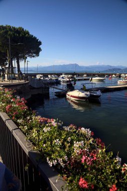 Bir yaz günü rıhtımlı teknelerle iskele Çiçek yatakları ve deniz çam ağaçlarıyla çerçevelenmiş