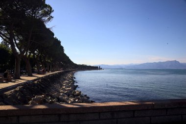 Güneşli bir günde bariyerlerden görünen bir gölde deniz çam ağacıyla dalgalanan sular.