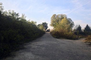Sonbaharda kırsalda toprak bir yolda ayrıl.