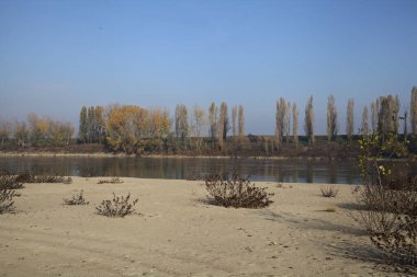 Nehrin kıyısındaki setin kenarında selvi ağaçları olan bir yol.