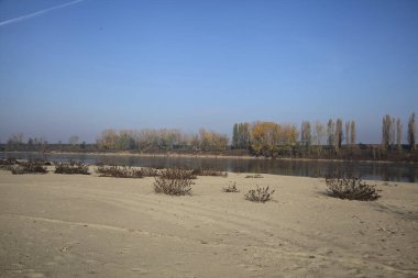 Nehrin kıyısındaki setin kenarında selvi ağaçları olan bir yol.