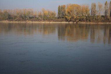 Nehrin kıyısındaki setin kenarında selvi ağaçları olan bir yol.
