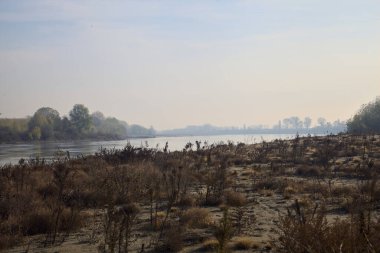 Sonbaharda kumlu bir sahilde, ağaçların yansıdığı nehir sulardan görülebiliyor.