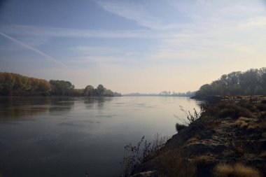 Sonbaharda kumlu bir sahilde, ağaçların yansıdığı nehir sulardan görülebiliyor.