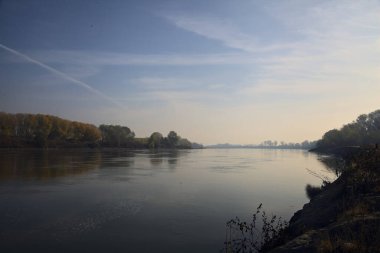 Sonbaharda kumlu bir sahilde, ağaçların yansıdığı nehir sulardan görülebiliyor.