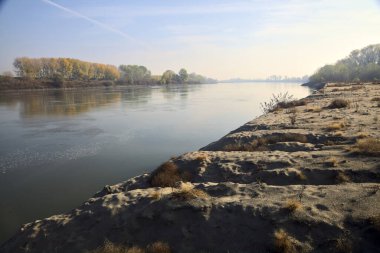 Sonbaharda kumlu bir sahilde, ağaçların yansıdığı nehir sulardan görülebiliyor.