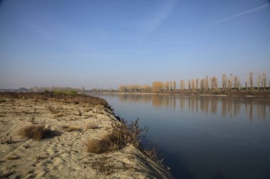Nehrin kıyısındaki setin kenarında selvi ağaçları olan bir yol.