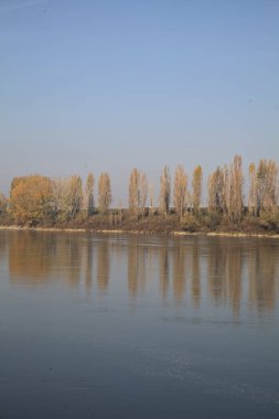 Nehrin kıyısındaki setin kenarında selvi ağaçları olan bir yol.